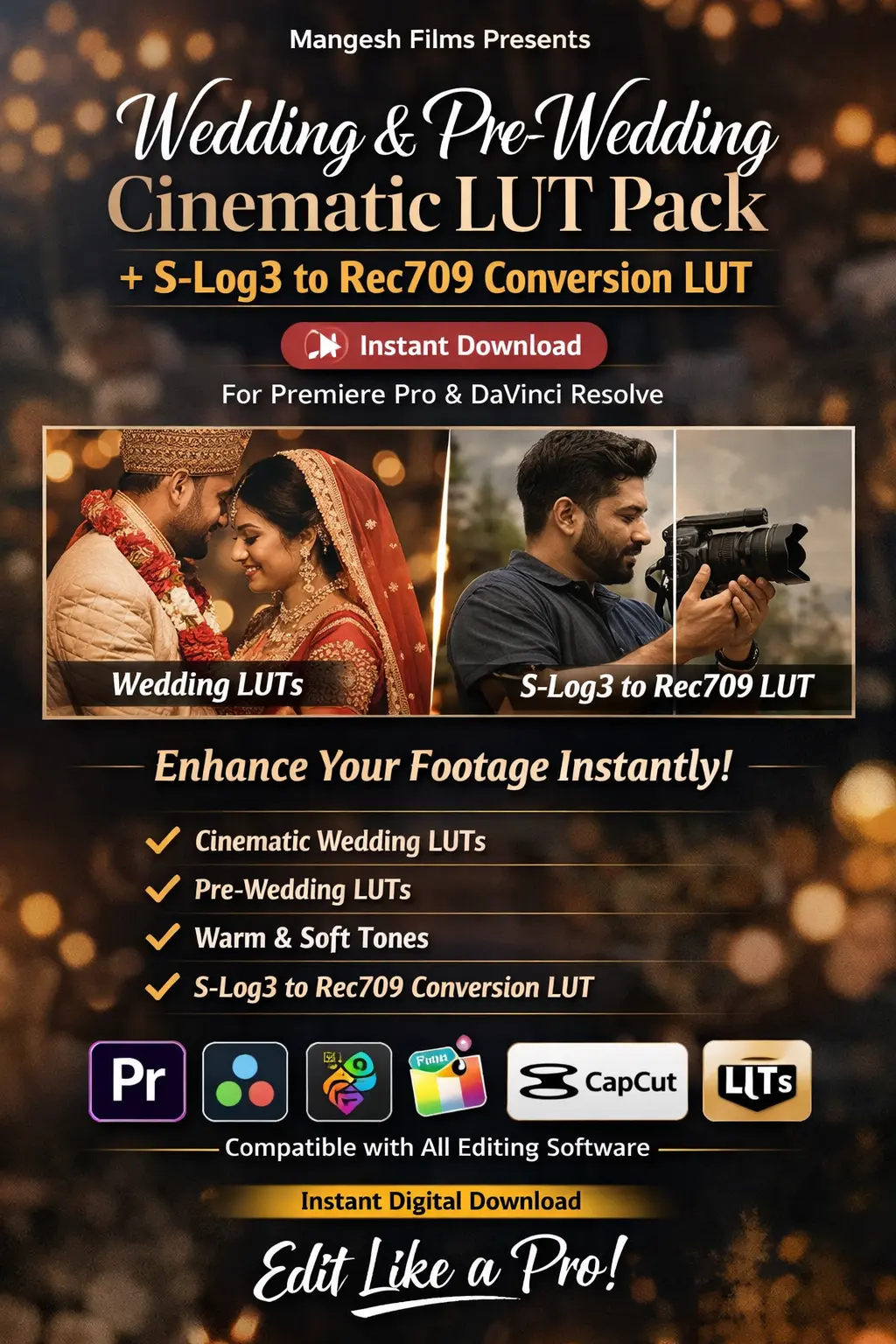 Download Luts